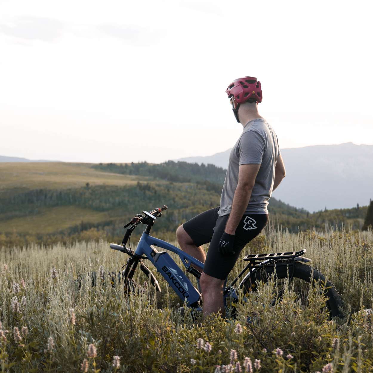 Bakcou Storm 19" Frame 25AH Matte Black