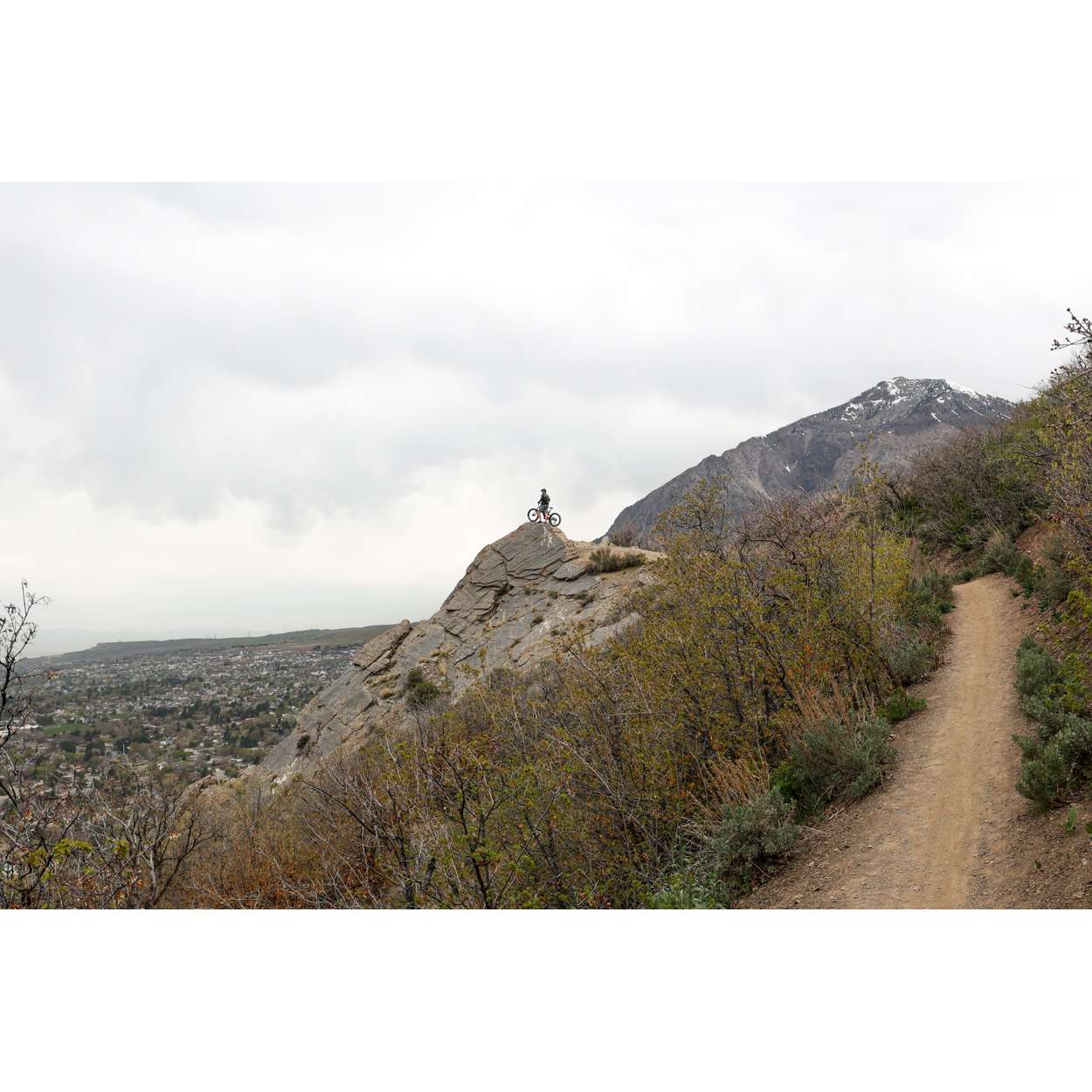 Bakcou Scout 19" Frame 21AH Matte Black