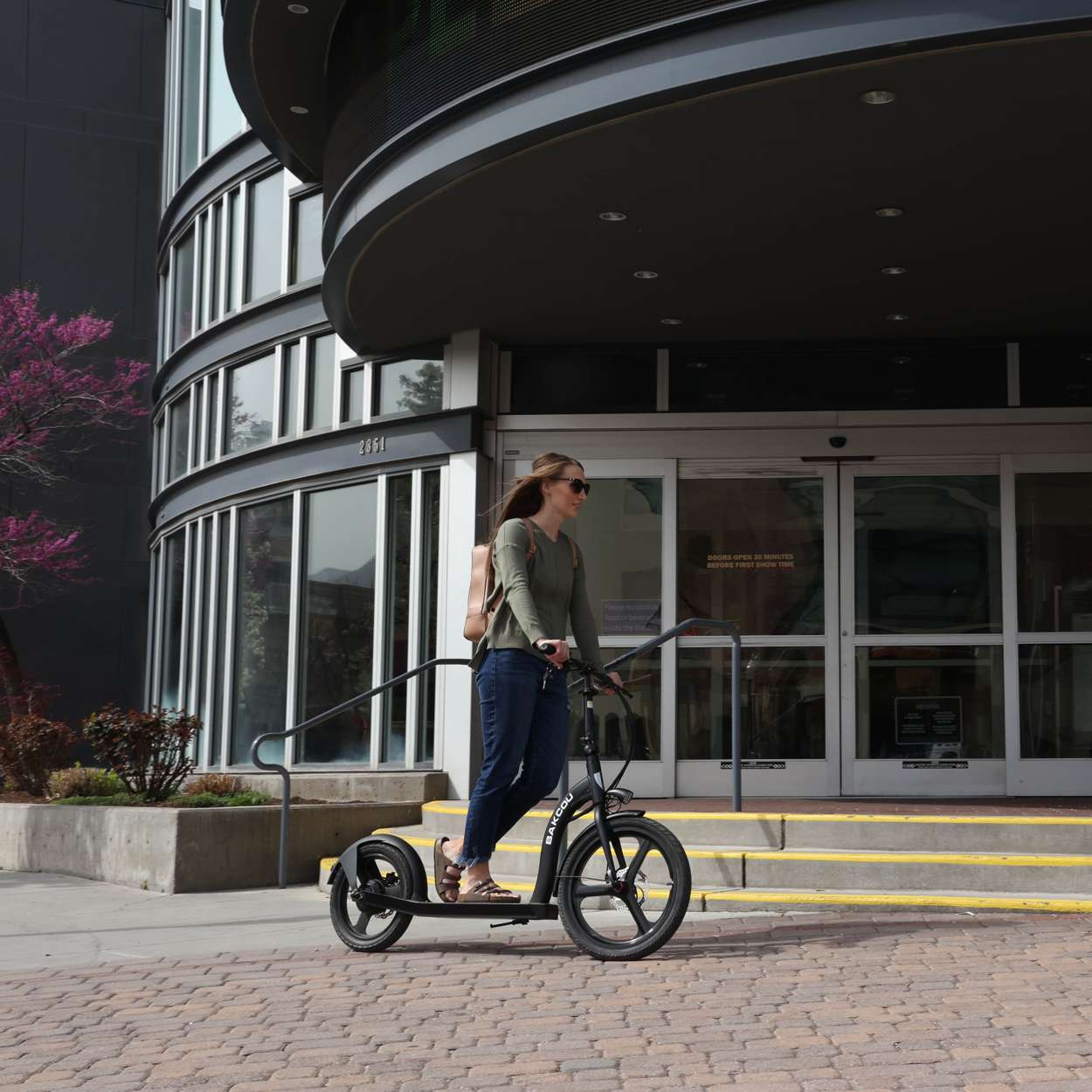 Bakcou Badger Electric Scooter Matte Black