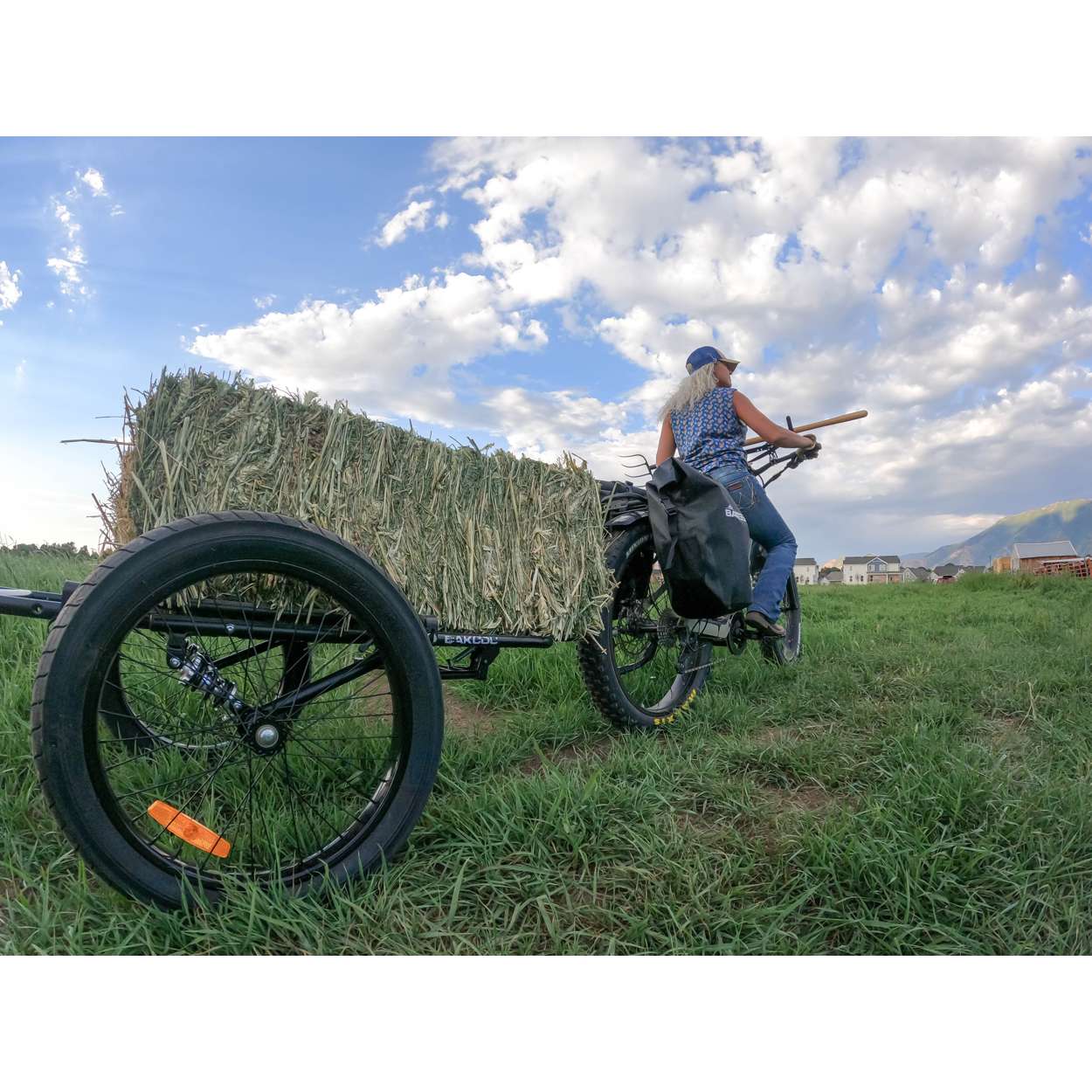 Bakcou Folding Deer eBike Trailer